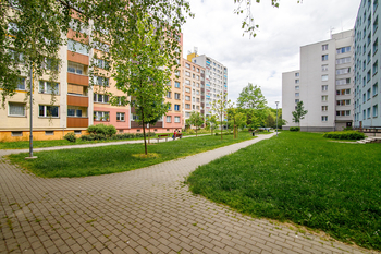 Prodej bytu 2+1 v družstevním vlastnictví 43 m², Orlová