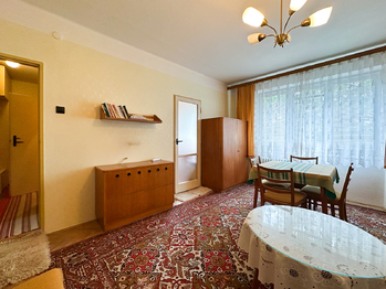 Prodej bytu 1+1 v osobním vlastnictví 37 m², Praha 3 - Žižkov