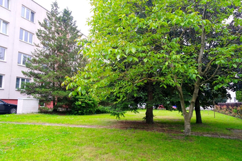 Prodej bytu 2+1 v osobním vlastnictví 54 m², Hradec Králové