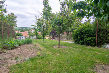 Prodej vinného sklepa, Hlohovec