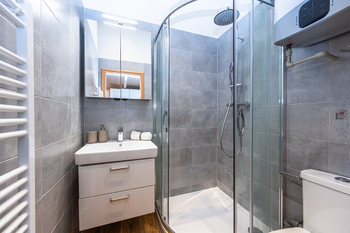 Prodej bytu 1+kk v osobním vlastnictví 25 m², Praha 7 - Holešovice
