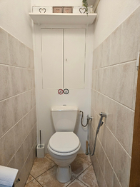 Pronájem bytu 4+kk v osobním vlastnictví 118 m², Vestec