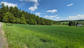 Prodej pozemku 7429 m², Borová