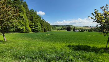 Prodej pozemku 7429 m², Borová