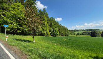 Prodej pozemku 7429 m², Borová