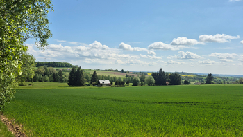 Prodej pozemku 7429 m², Borová