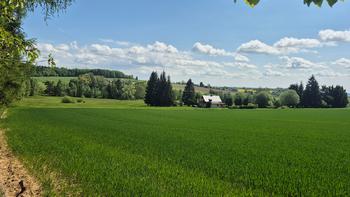 Prodej pozemku 7429 m², Borová
