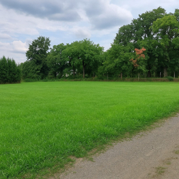 Prodej pozemku 1076 m², Střížovice