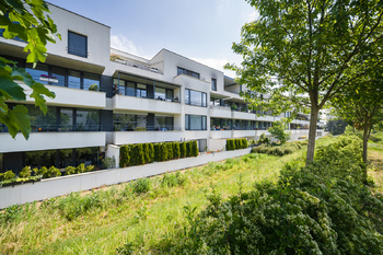 Pronájem bytu 1+kk v osobním vlastnictví 29 m², Brno