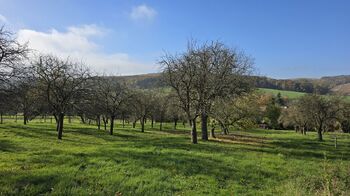 Prodej domu 90 m², Pačlavice