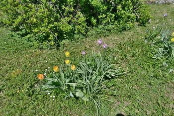 Prodej domu 86 m², Židovice