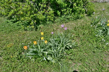 Prodej domu 86 m², Židovice