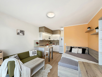 Prodej bytu 1+kk v osobním vlastnictví 31 m², Praha 4 - Háje