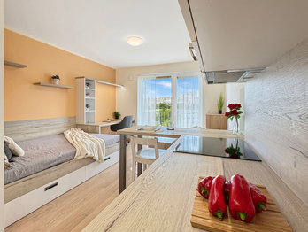 Prodej bytu 1+kk v osobním vlastnictví 31 m², Praha 4 - Háje