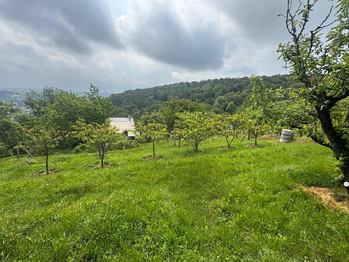 Prodej pozemku 659 m², Napajedla
