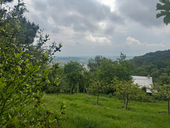 Prodej pozemku 659 m², Napajedla