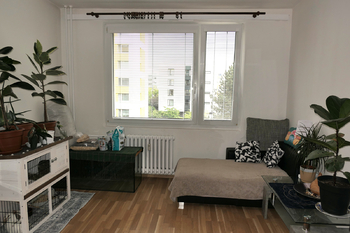 Pronájem bytu 1+1 v osobním vlastnictví 35 m², Hradec Králové