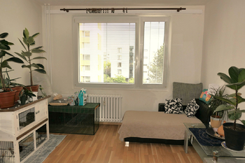 Pronájem bytu 1+1 v osobním vlastnictví 35 m², Hradec Králové