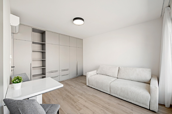 Pronájem bytu 1+kk v osobním vlastnictví 35 m², Praha 3 - Žižkov
