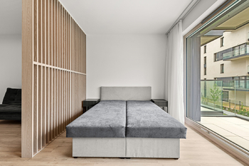 Pronájem bytu 1+kk v osobním vlastnictví 47 m², Praha 3 - Žižkov