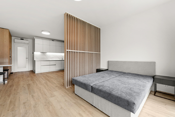 Pronájem bytu 1+kk v osobním vlastnictví 47 m², Praha 3 - Žižkov