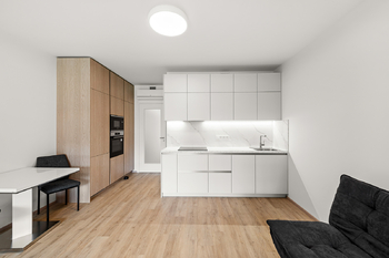Pronájem bytu 1+kk v osobním vlastnictví 47 m², Praha 3 - Žižkov