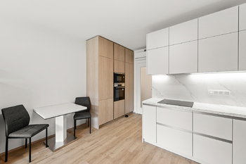 Pronájem bytu 1+kk v osobním vlastnictví 47 m², Praha 3 - Žižkov