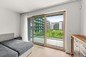 Pronájem bytu 1+kk v osobním vlastnictví 47 m², Praha 3 - Žižkov