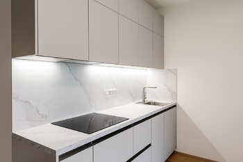 Pronájem bytu 1+kk v osobním vlastnictví 47 m², Praha 3 - Žižkov