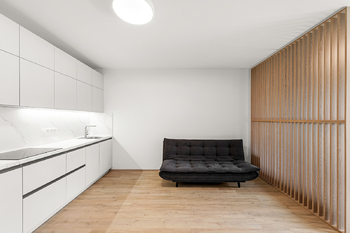 Pronájem bytu 1+kk v osobním vlastnictví 47 m², Praha 3 - Žižkov