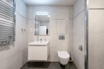 Pronájem bytu 1+kk v osobním vlastnictví 47 m², Praha 3 - Žižkov