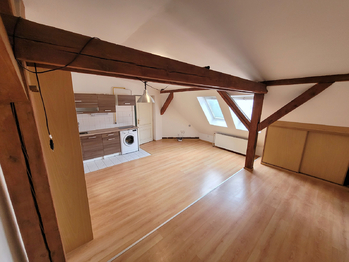 Pronájem bytu 1+kk v osobním vlastnictví 44 m², Praha 1 - Nové Město