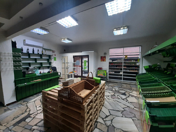 Pronájem obchodních prostor 75 m², Brno
