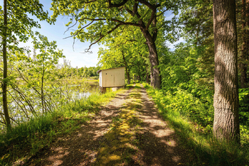 OKOLÍ CHATY - Prodej chaty / chalupy 73 m², Břehov