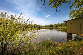 OKOLÍ CHATY - Prodej chaty / chalupy 73 m², Břehov
