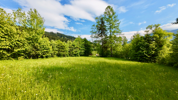 Prodej pozemku 8947 m², Ostravice