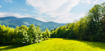 Prodej pozemku 8947 m², Ostravice