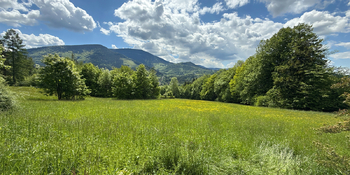 Prodej pozemku 8947 m², Ostravice