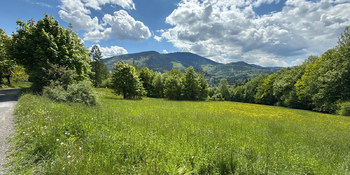 Prodej pozemku 8947 m², Ostravice