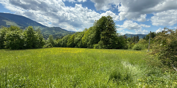 Prodej pozemku 8947 m², Ostravice