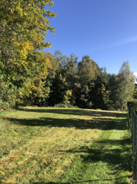 Prodej pozemku 2538 m², Janovice v Podještědí