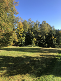 Prodej pozemku 2538 m², Janovice v Podještědí