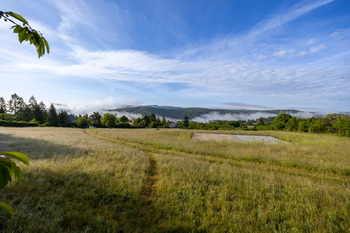 Prodej pozemku 5450 m², Štěchovice