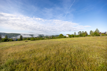 Prodej pozemku 5450 m², Štěchovice