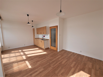 Prodej bytu 1+kk v osobním vlastnictví 28 m², Praha 10 - Strašnice