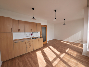 Prodej bytu 1+kk v osobním vlastnictví 28 m², Praha 10 - Strašnice