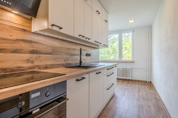 Prodej bytu 1+1 v osobním vlastnictví 42 m², Litoměřice