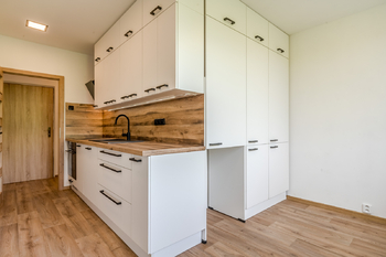 Prodej bytu 1+1 v osobním vlastnictví 42 m², Litoměřice