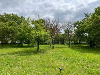 Prodej domu 150 m², Stavěšice