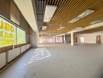 Pronájem obchodních prostor 920 m², Rousínov
